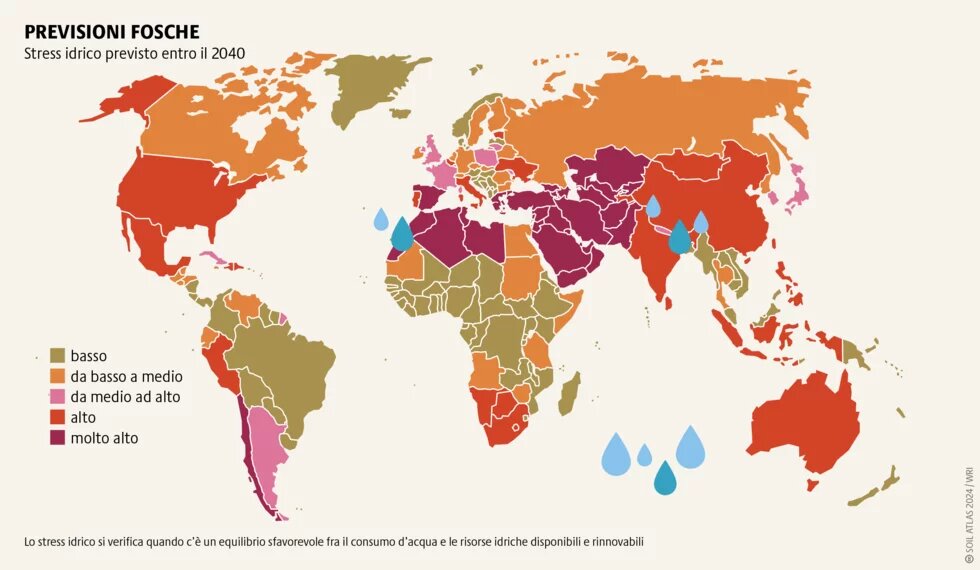 L’agricoltura usa il 70 per cento delle acque dolci del mondo. Questo può condurre a possibili carenze d’acqua per il consumo domestico.