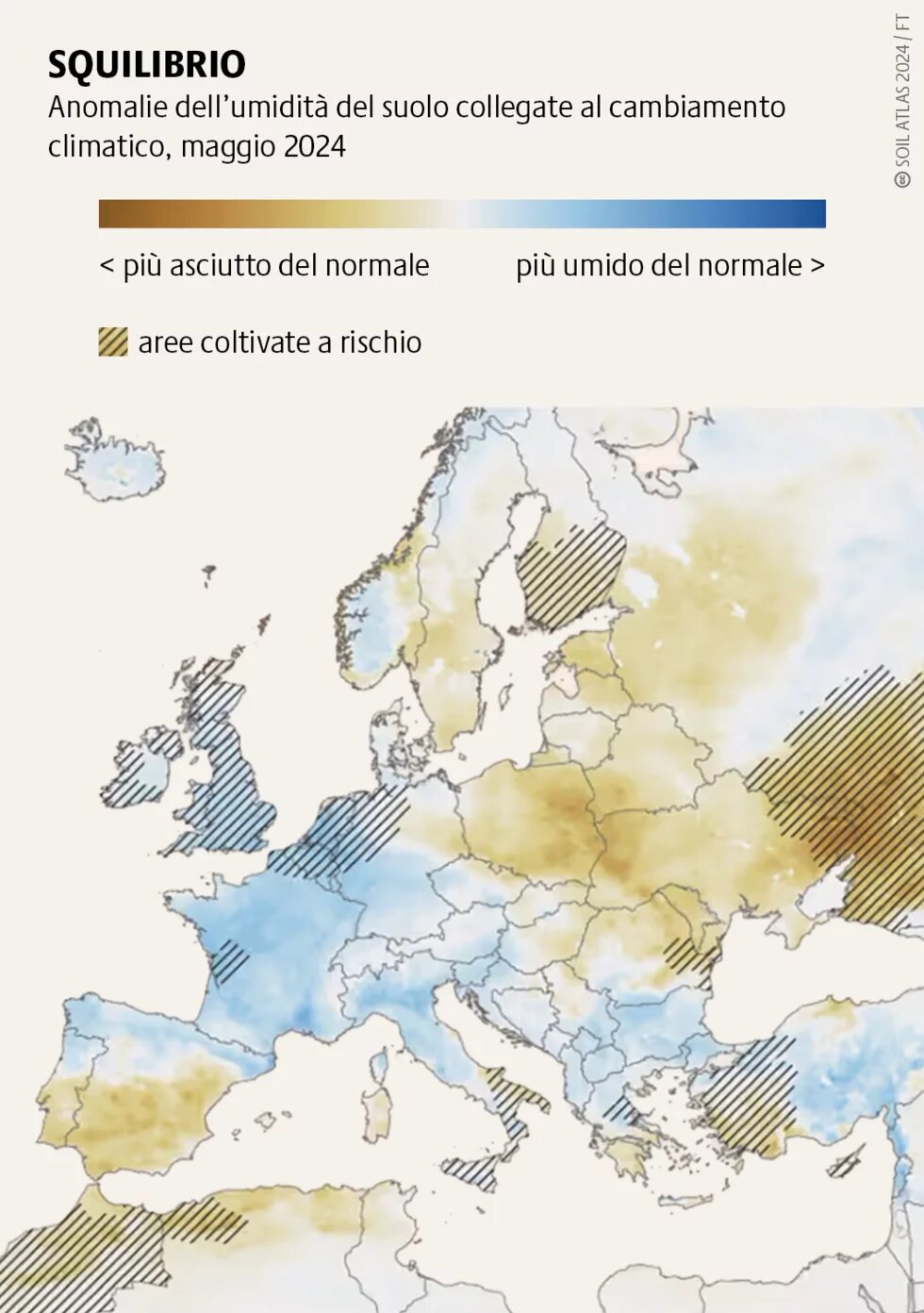 La crisi climatica ha un impatto profondo sull’agricoltura. In Europa ci si aspetta che i più colpiti siano i raccolti di mais, riso, soia e grano