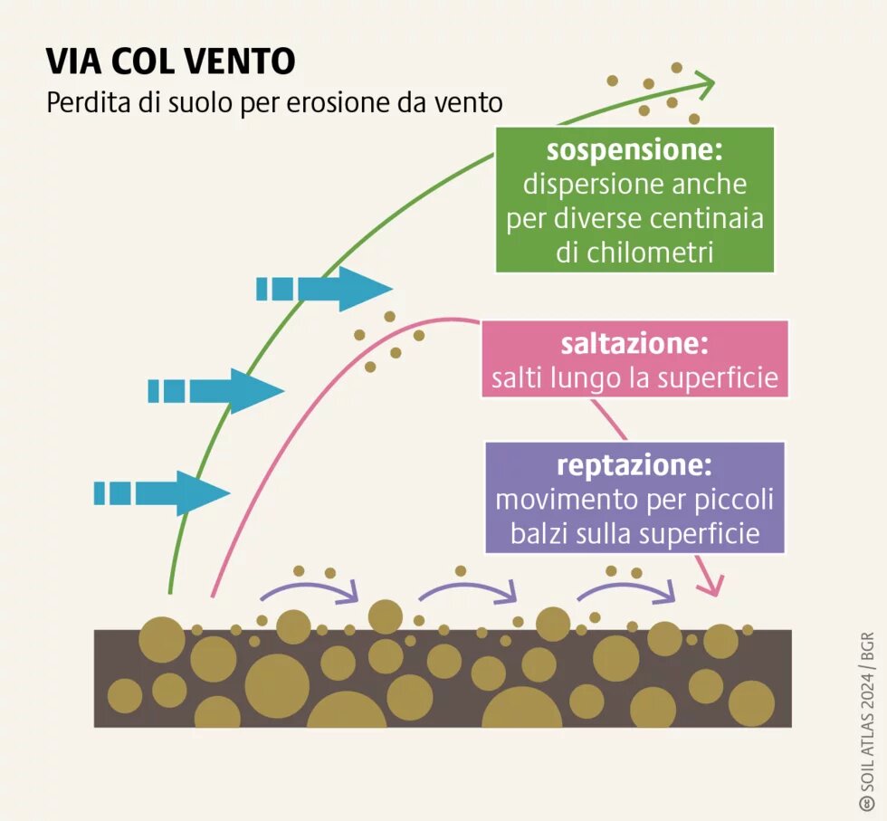 I terreni agricoli sono i più minacciati dall’erosione del vento, che danneggia la qualità del suolo e, nel lungo periodo, riduce i raccolti.