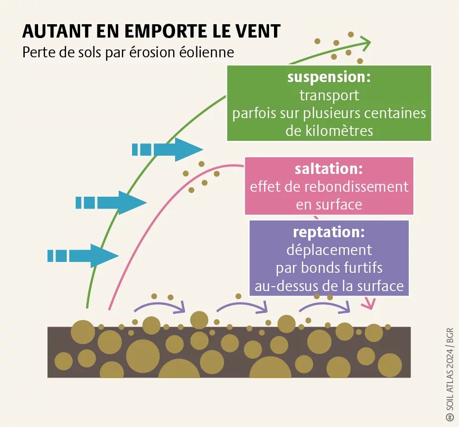 Autant en emporte le vent