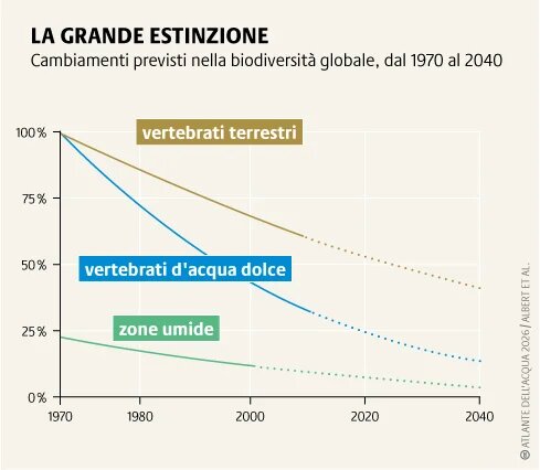 Le popolazioni migratorie di pesci d'acqua dolce in Europa sono diminuite del 93% dal 1970, principalmente a causa della perdita di habitat, dell'inquinamento idrico e della crisi climatica.