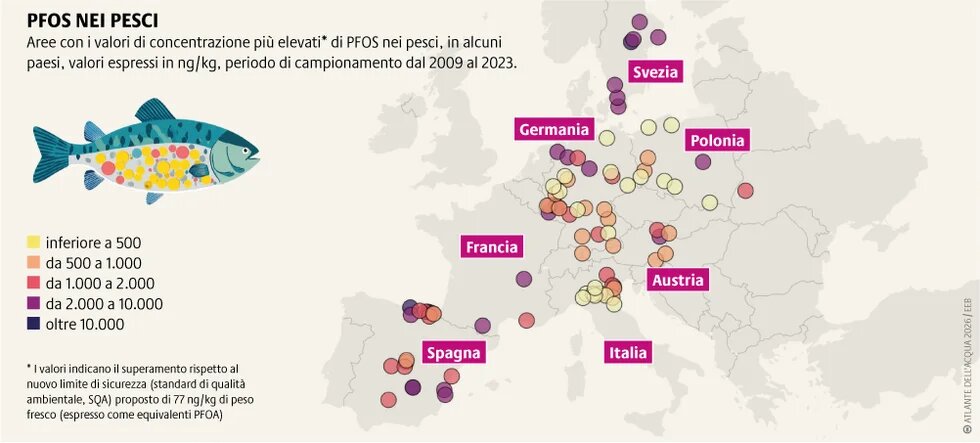 Le normative sui PFAS sono in fase di profonda revisione. Serve adottare rapidamente una restrizione ampia e con il minor numero possibile di esenzioni.
