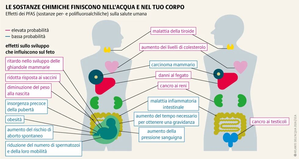 Sostanze chimiche come i PFAS contaminano le fonti idriche nel lungo periodo. Si degradano lentamente, si accumulano in natura e minacciano l'acqua potabile e la vita umana.