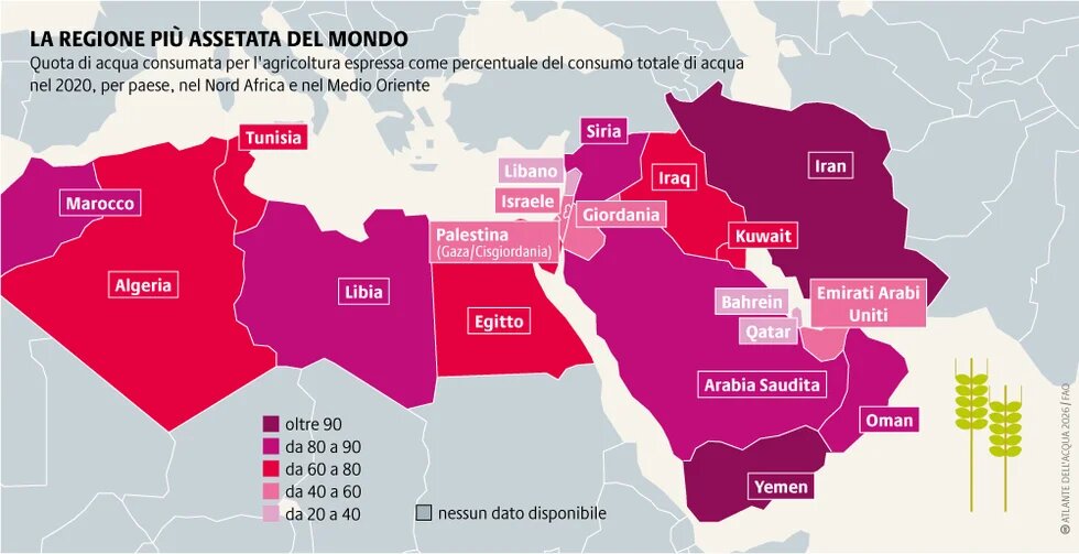 Il Nord Africa e il Medio Oriente rappresentano il 5% della popolazione mondiale, ma dispongono solo dello 0,7% delle risorse idriche, di cui l'80% è utilizzato per l'agricoltura.