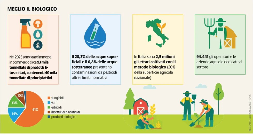 Per ISPRA il 40% dei suoli agricoli intensivi in Italia rischia il degrado entro il 2050: biologico e agroecologia sono alternative concrete.