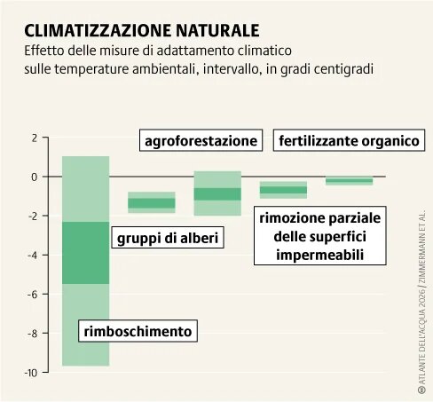 La crisi climatica sta causando ondate di calore sempre più intense. Piantare alberi e costruire tetti verdi può abbassare le temperature e rendere le città più vivibili.