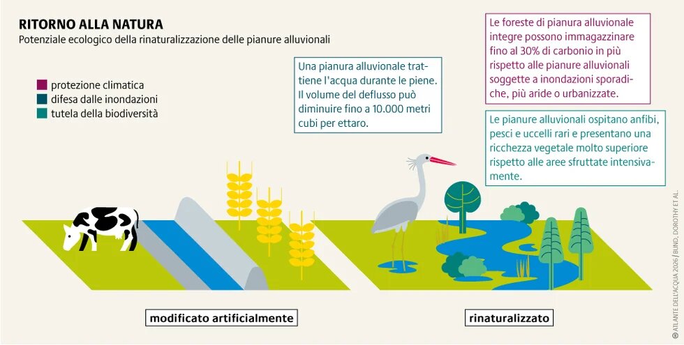 I paesaggi delle pianure alluvionali semi-naturali favoriscono la biodiversità, contribuiscono a mitigare la crisi climatica, forniscono una protezione naturale dalle alluvioni e sono luoghi ricreativi molto apprezzati.