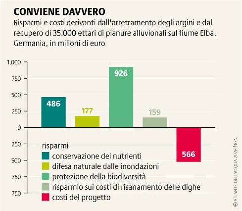 Le pianure alluvionali rinaturalizzate trattengono e degradano nutrienti come l'azoto. A lungo termine, ciò riduce i costi complessivi della depurazione delle acque.