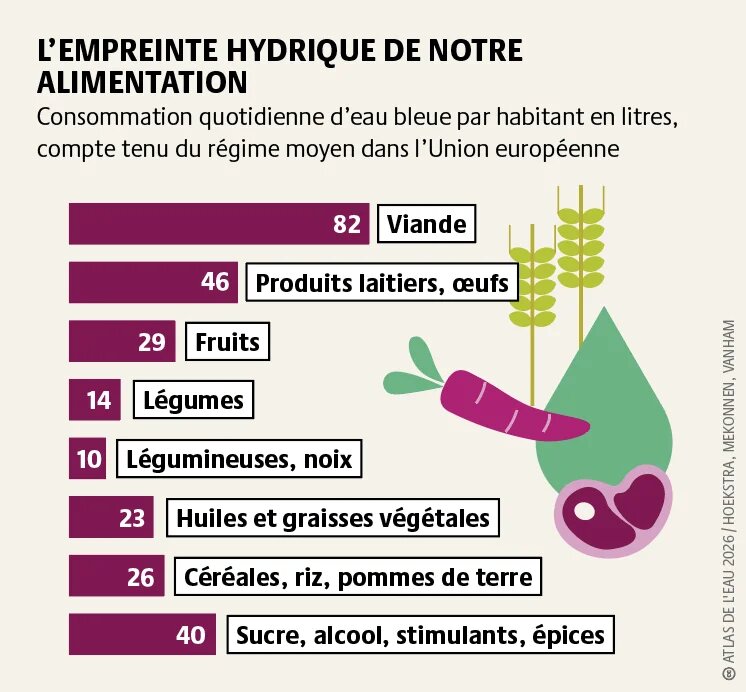 L’eau bleue comprend l’eau de surface et l’eau souterraine utilisées pour l’irrigation et l’industrie. Elle est indispensable à l’agriculture et à l’économie.