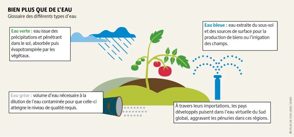À travers leurs importations, les pays développés puisent dans l’eau virtuelle du Sud global, aggravant les pénuries d'eau dans ces régions.
