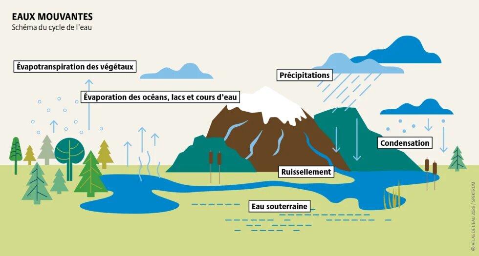 L’activité humaine perturbe le cycle de l’eau. Dans le bassin du Congo, la disparition de la forêt pluviale pourrait réduire les précipitations locales de 10 %.
