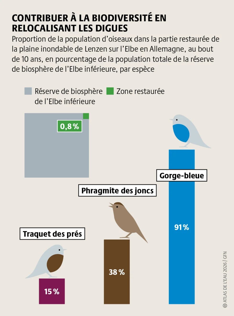 L’exemple allemand montre que la restauration fonctionne, les plaines inondables se régénérant vite et offrant un refuge à de nombreuses espèces.