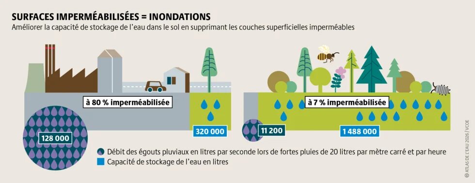 En recouvrant le sol d’asphalte et de béton, on l’empêche d’absorber l’humidité. Il en résulte un débordement des égouts et des inondations.