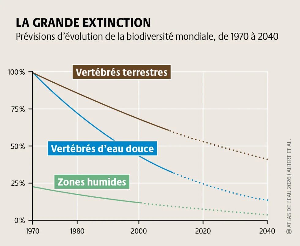 Les populations de poissons d’eau douce migrateurs d’Europe ont baissé de 93 % depuis 1970. En cause : la disparition de leur habitat, la pollution de l’eau et la crise climatique.