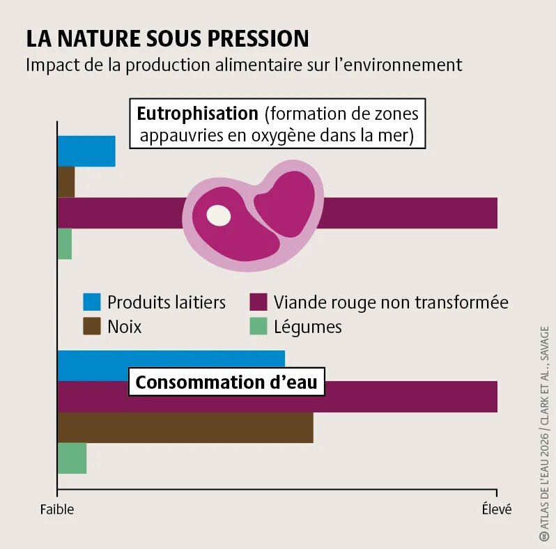 Dans de nombreux pays, les cultures destinées à l’exportation consomment de grandes quantités d’eau, tandis que la production de viande en nécessite plus encore. Il en résulte une aggravation des pénuries d’eau et du stress dû à la sécheresse.