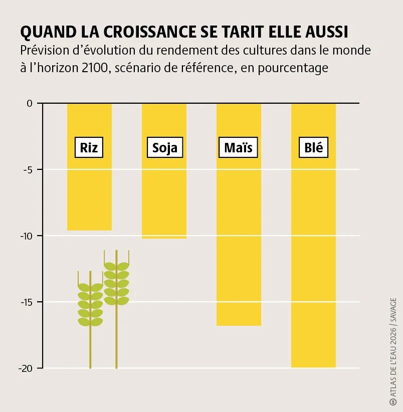Les sécheresses, inondations et vagues de chaleur dues à la crise climatique nuisent aux récoltes et augmentent partout dans le monde les risques de malnutrition, de pauvreté et d’insécurité alimentaire.
