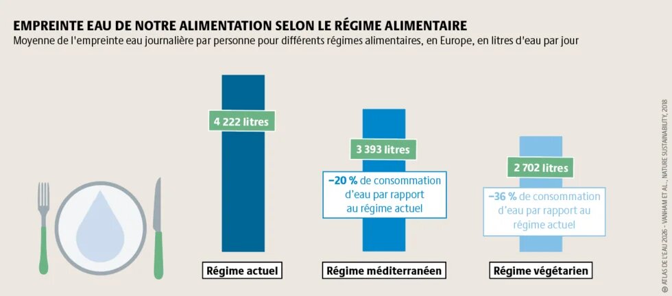 Le régime alimentaire actuel d'un Européen consomme 4 222 litres d’eau par jour, tandis qu’un régime alimentaire de type méditerranéen (plus végétalisé) réduirait de 20 % cet impact et qu’un régime alimentaire entièrement végétarien le réduirait de 36 %. Cet ordre de grandeur est tout à fait pertinent pour la France.
