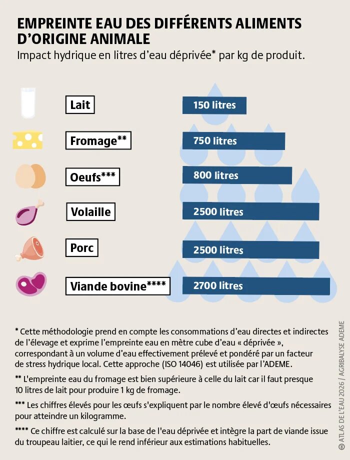 En prenant en compte la rareté (ou non) de l’eau utilisée pour nourrir les animaux, les différents types de viande ont un impact similaire sur la ressource en eau. Il faudrait donc réduire globalement la consommation de toutes les viandes plutôt que de substituer certaines viandes à d’autres.