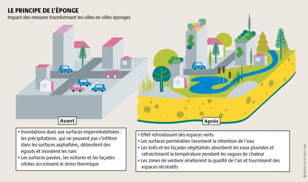 Les phénomènes climatiques extrêmes causent chaque année plus de 200 milliards de dollars américains de dégâts au niveau mondial. Des mesures d’adaptation s’imposent d’urgence pour protéger les villes.
