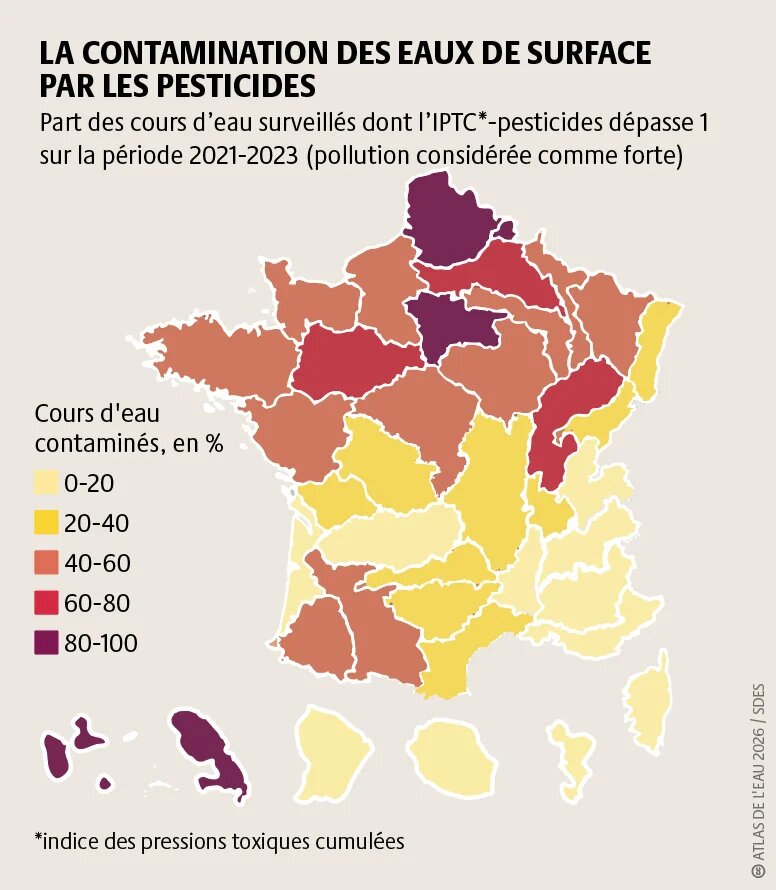 De nombreux territoires ont plus de 40 % de leurs rivières fortement polluées aux pesticides. Le nord de la France et certains DROM sont les plus touchés, ce taux dépassant 60% ou 80 %. Les eaux souterraines sont également concernées.