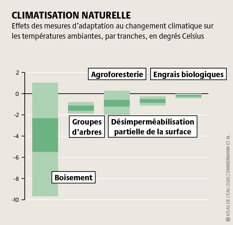 La crise climatique s’accompagne d’intenses vagues de chaleur. En plantant des arbres et en végétalisant les toits, on fait baisser les températures et on rend les villes plus habitables.