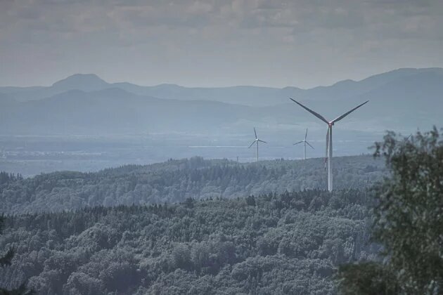 Des éoliennes dans la Forêt Noire